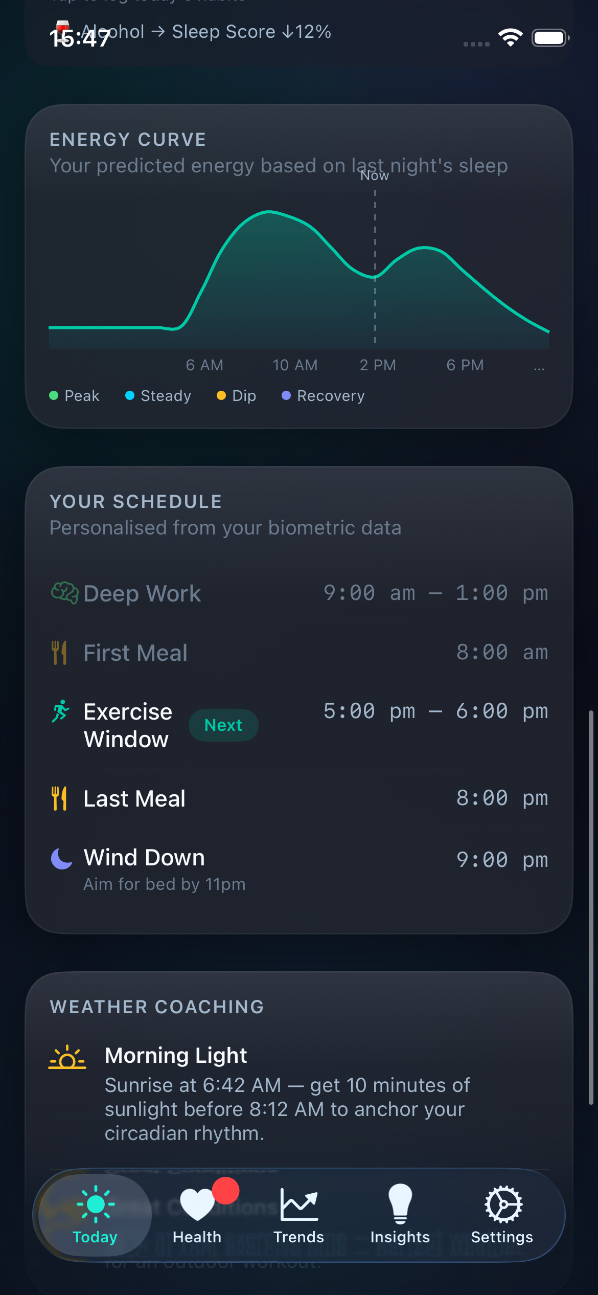 Energy curve and personalised daily schedule